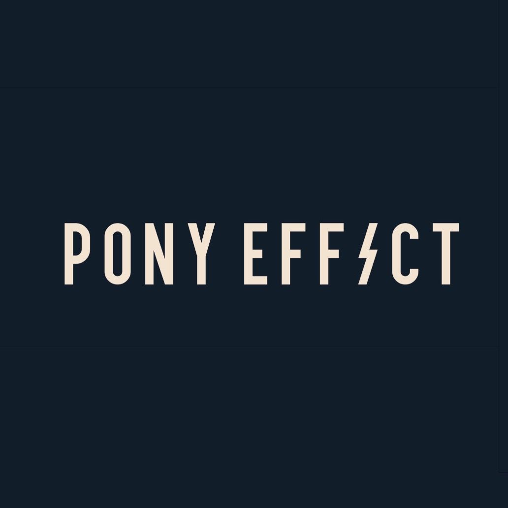 Portrait of creator ponyeffect_official