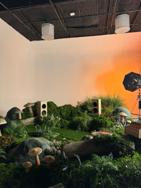 Post by youthtothepeople