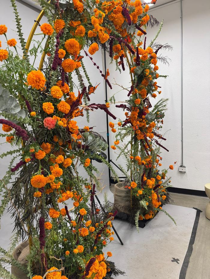 Top post by Youth To The People