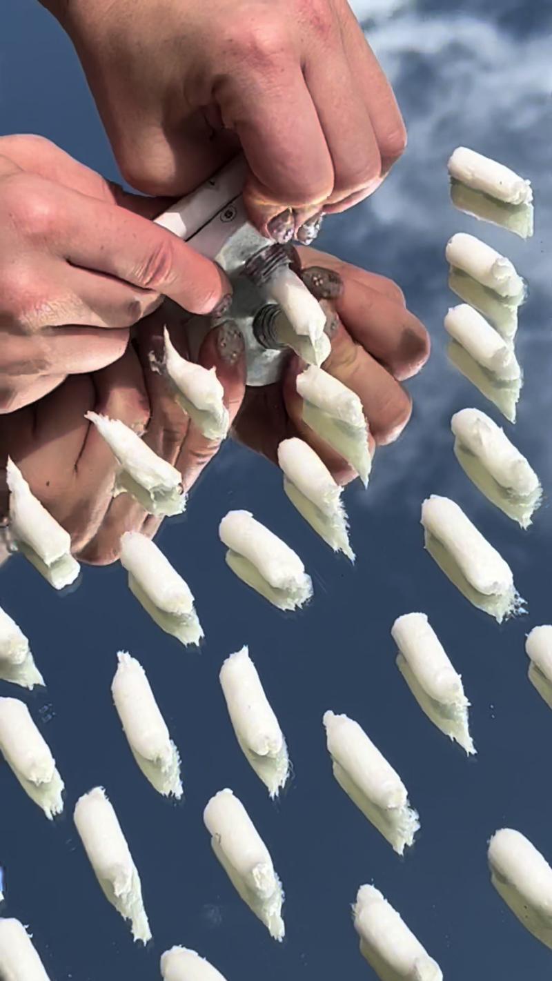 Post by helloeverist