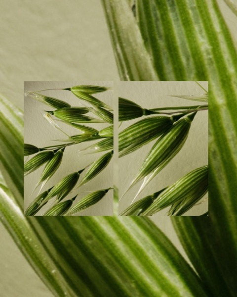 Post by chantecaille