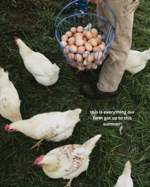 Post by tataharperskincare