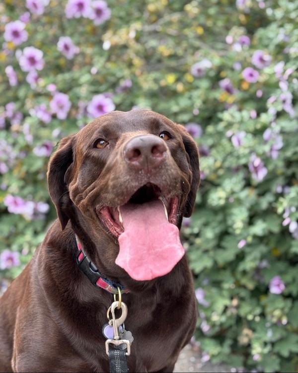 Post by madisonreedcolor