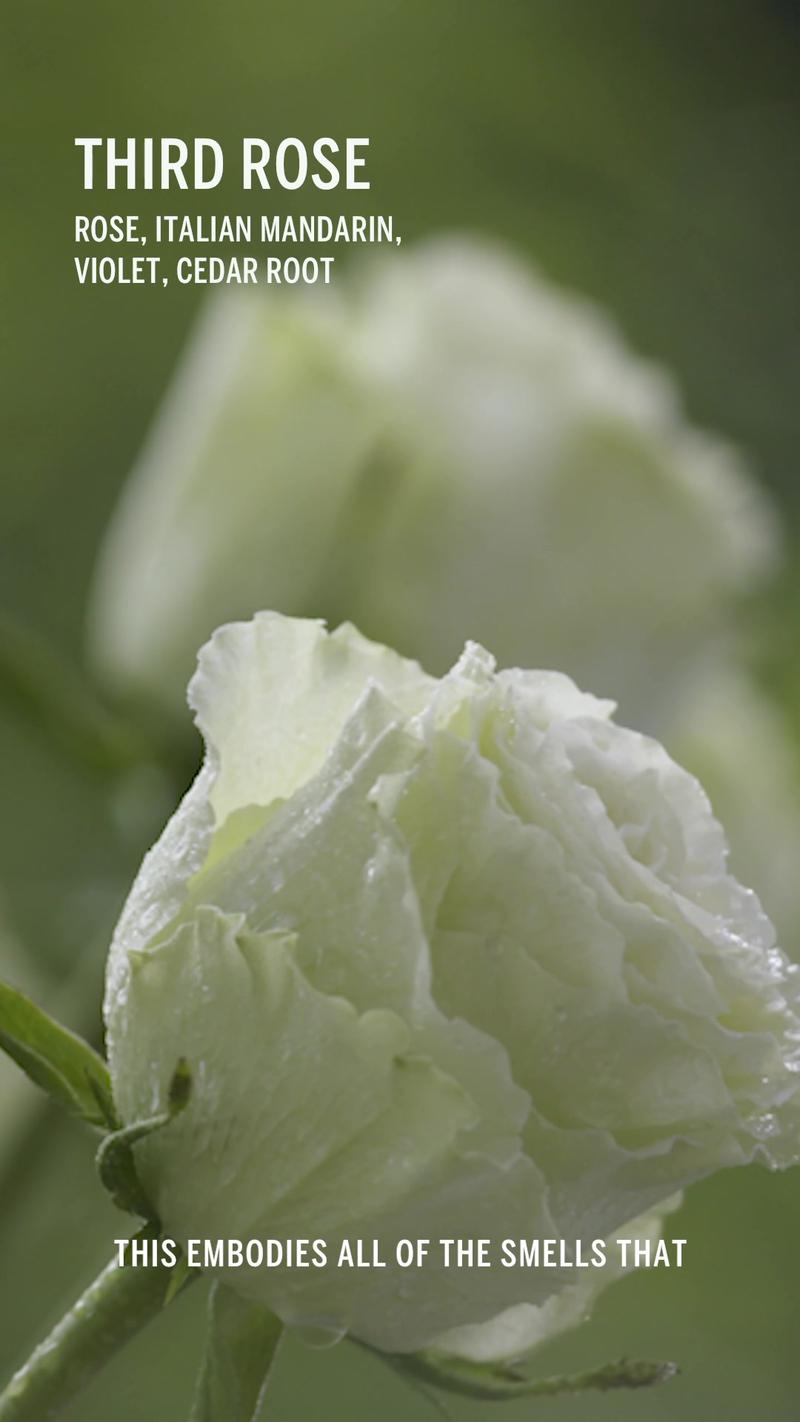 Post by corpusnaturals