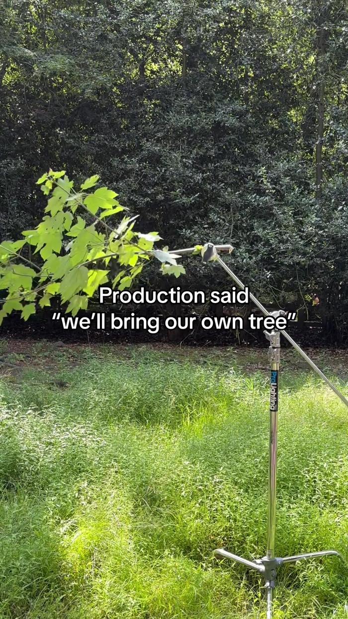 TikTok Post Thumbnail