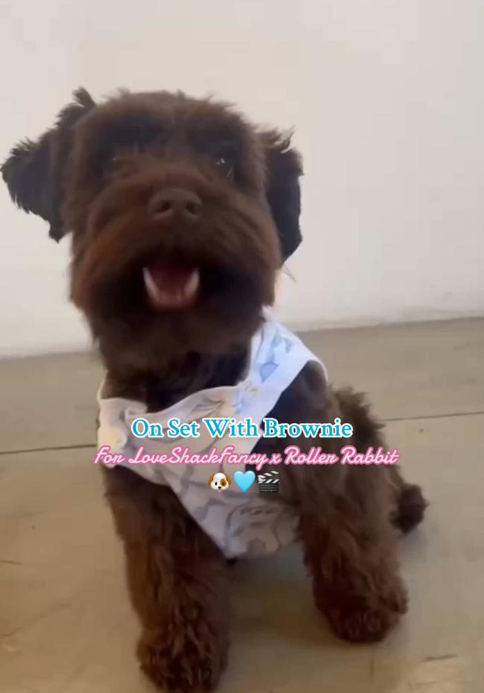 Post by loveshackfancy