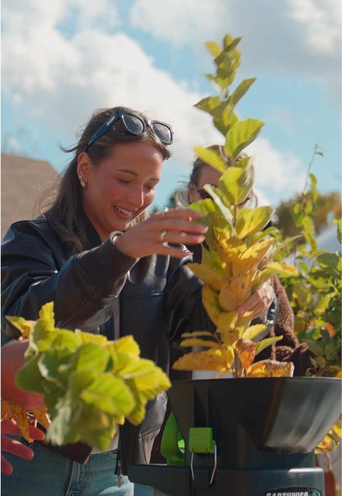 TikTok Post Thumbnail