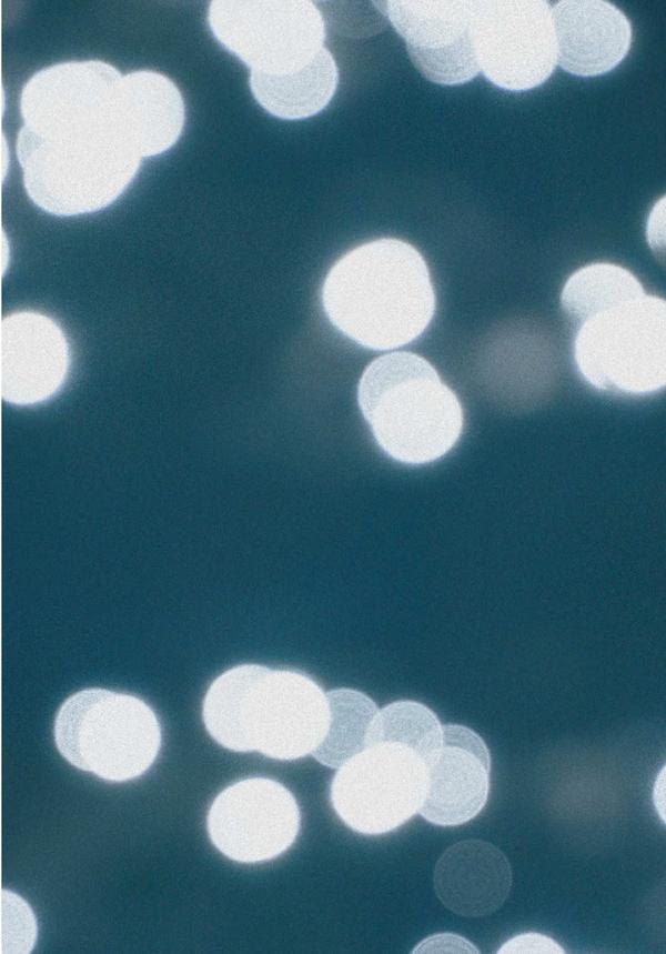 Post by lux.unfiltered