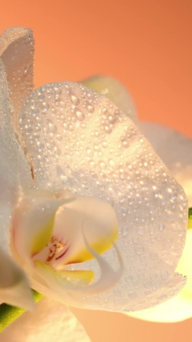 Post by kerastase.official