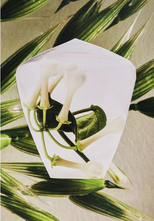 Post by chantecaille