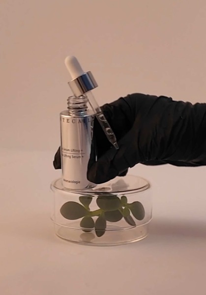 Post by chantecaille