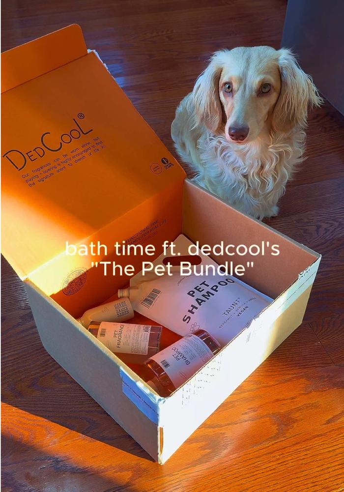 TikTok Post Thumbnail