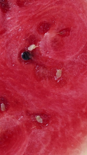 Post by kulfi.beauty