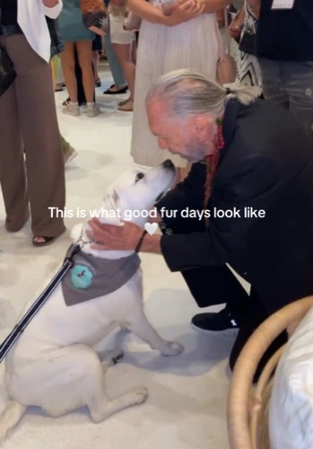 Post by paulmitchell