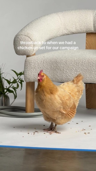 TikTok Post Thumbnail