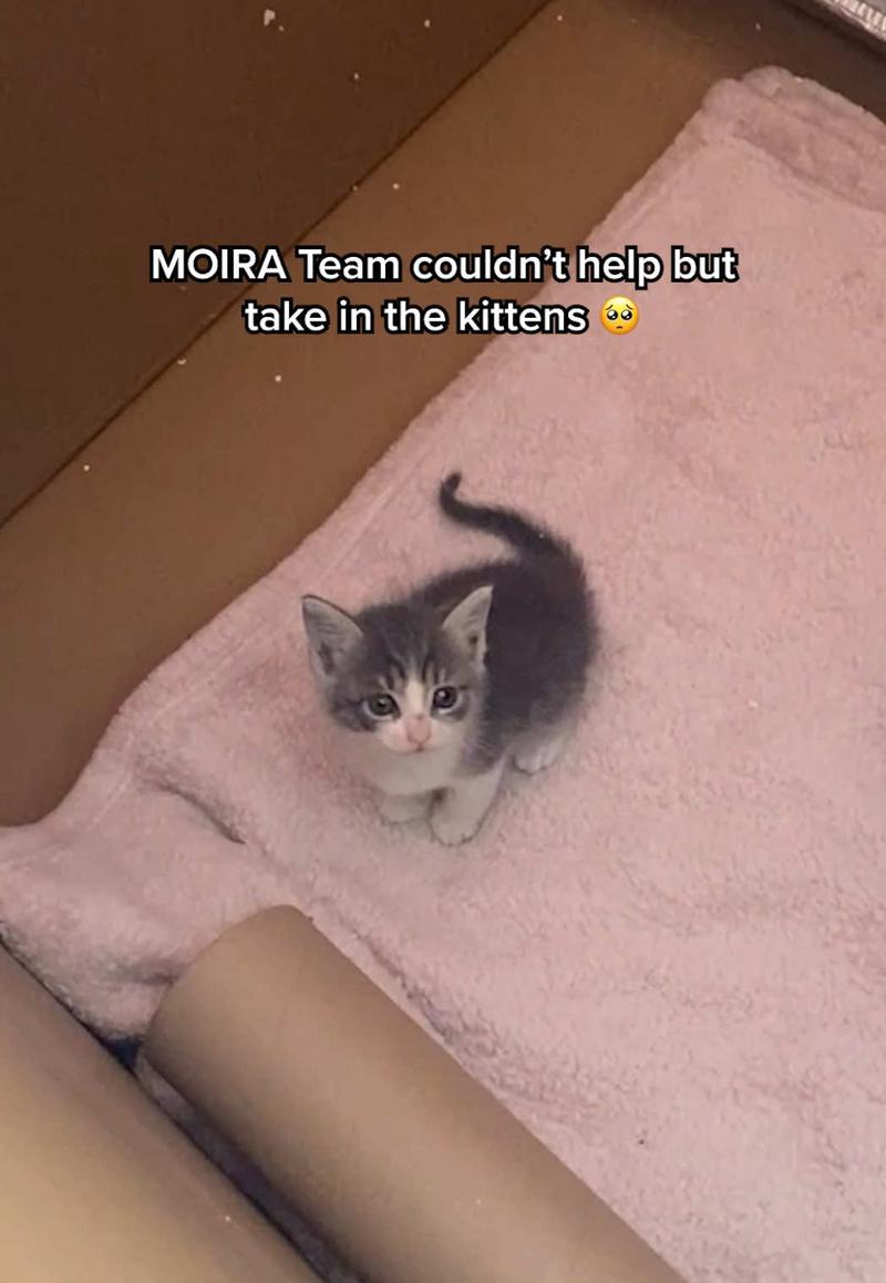 Post by moiracosmetics