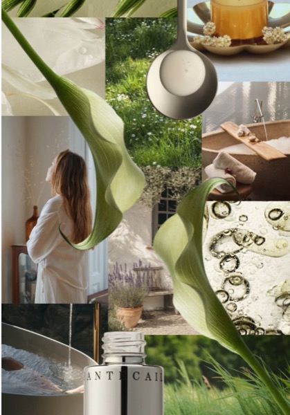 Post by chantecaille