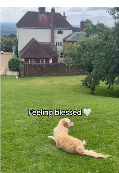 TikTok Post Thumbnail