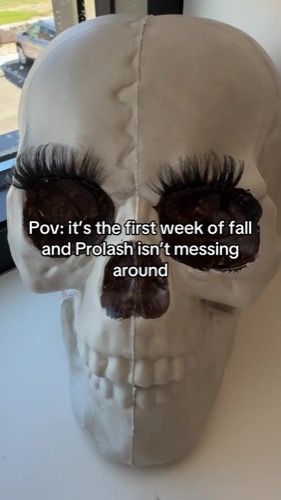 Post by prolashofficial