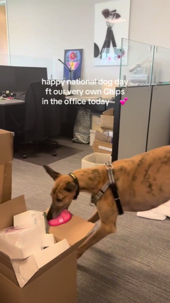 Post by makeuperaser