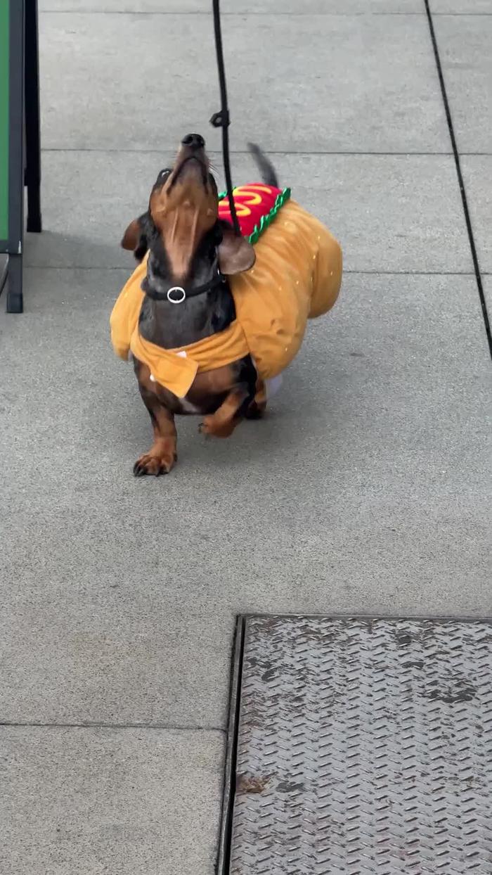 TikTok Post Thumbnail