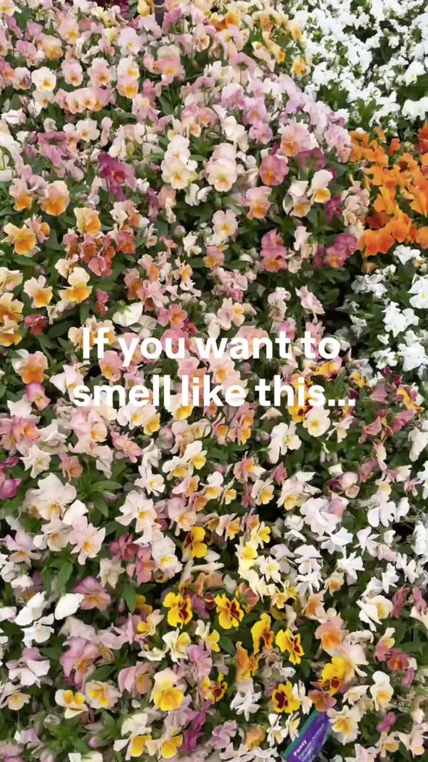 Post by gotoskincare