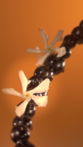 Post by charlottetilbury