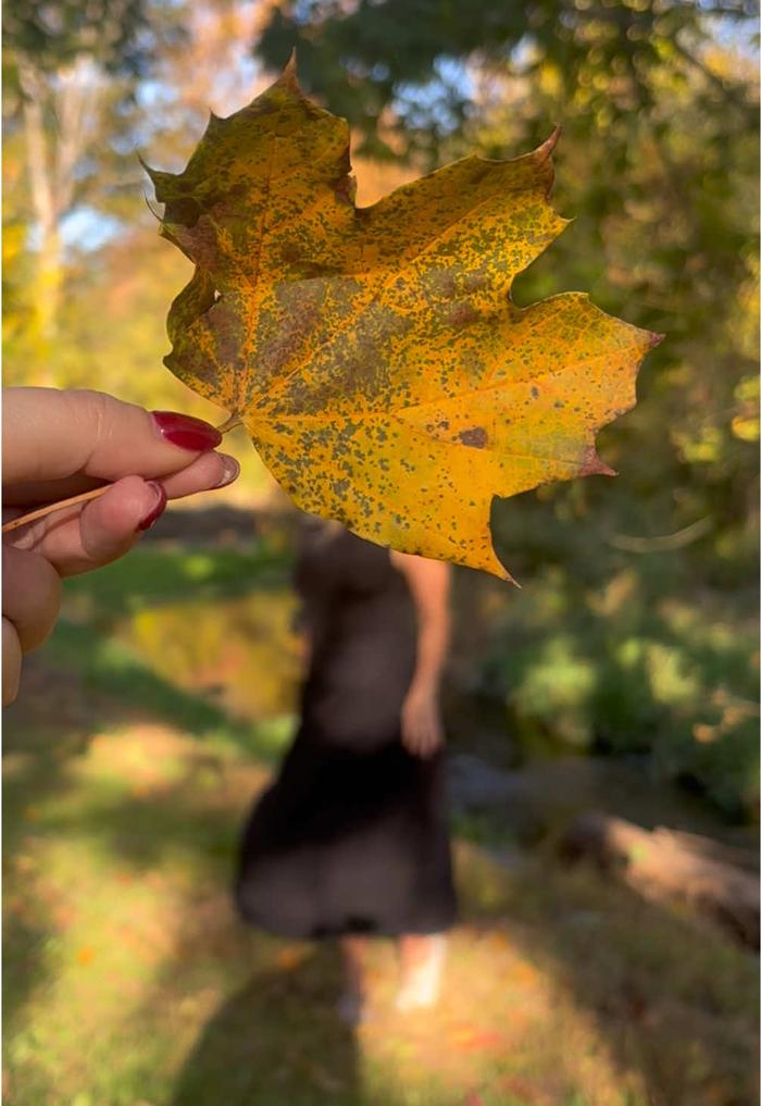 TikTok Post Thumbnail