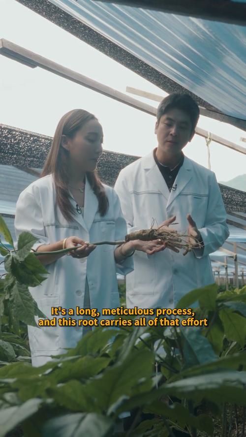 Post by sulwhasoo.us