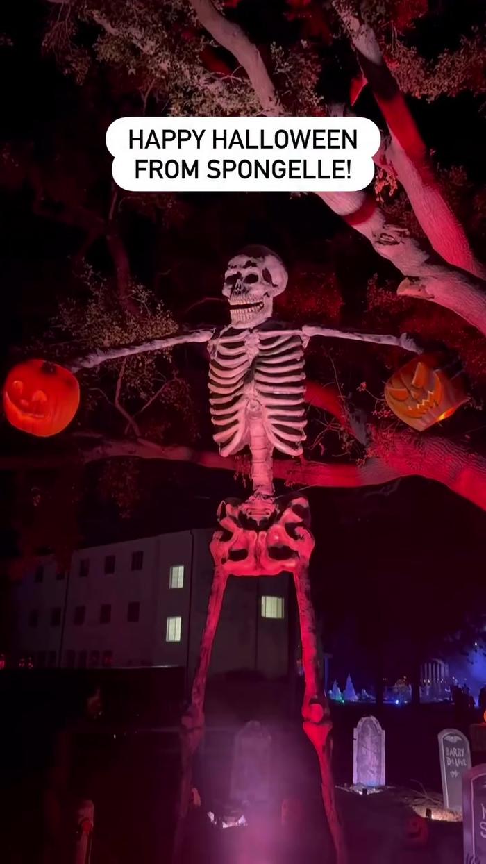 TikTok Post Thumbnail