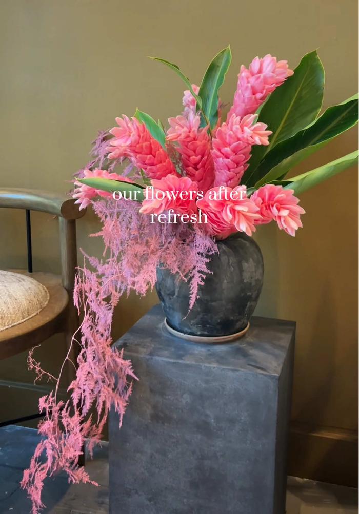 Maison Louis Marie content