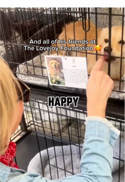 TikTok Post Thumbnail