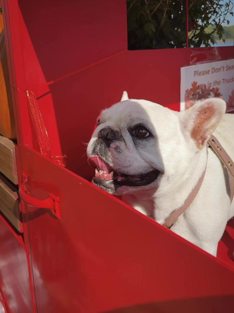 Post by jilliandempseyofficial