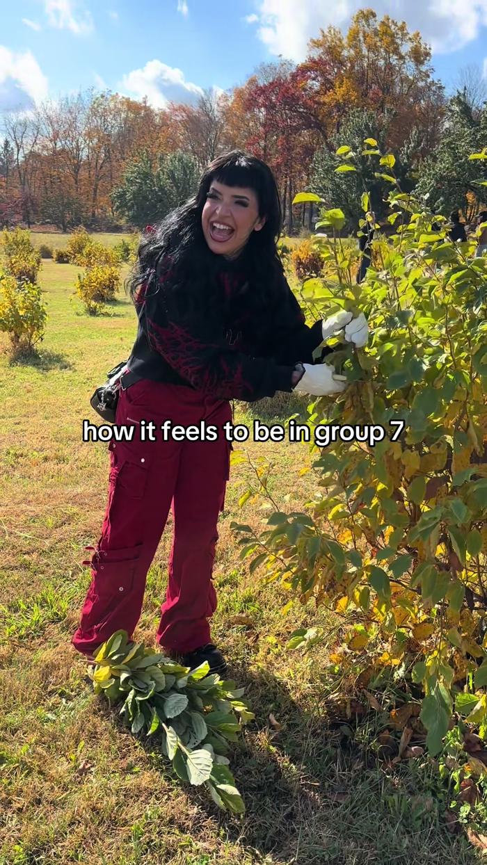 TikTok Post Thumbnail