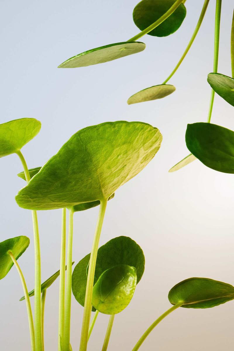 Post by helloeverist