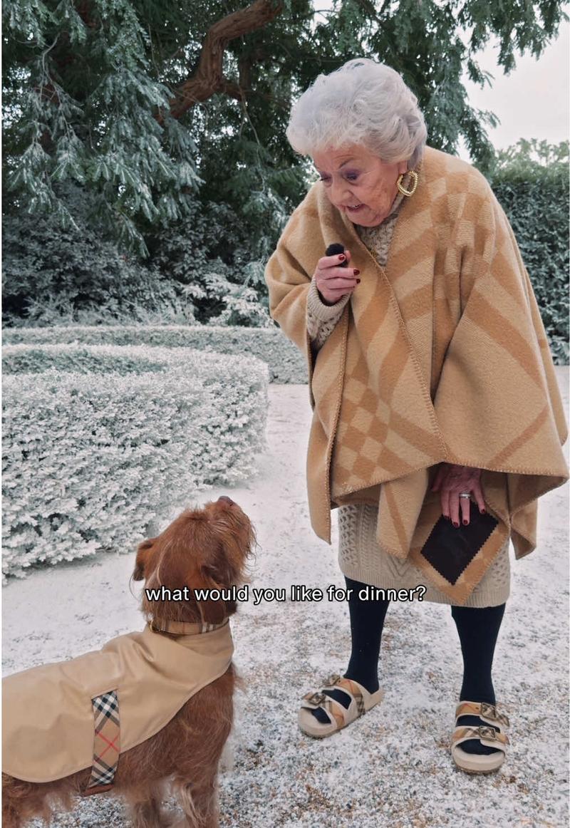 TikTok Post Thumbnail