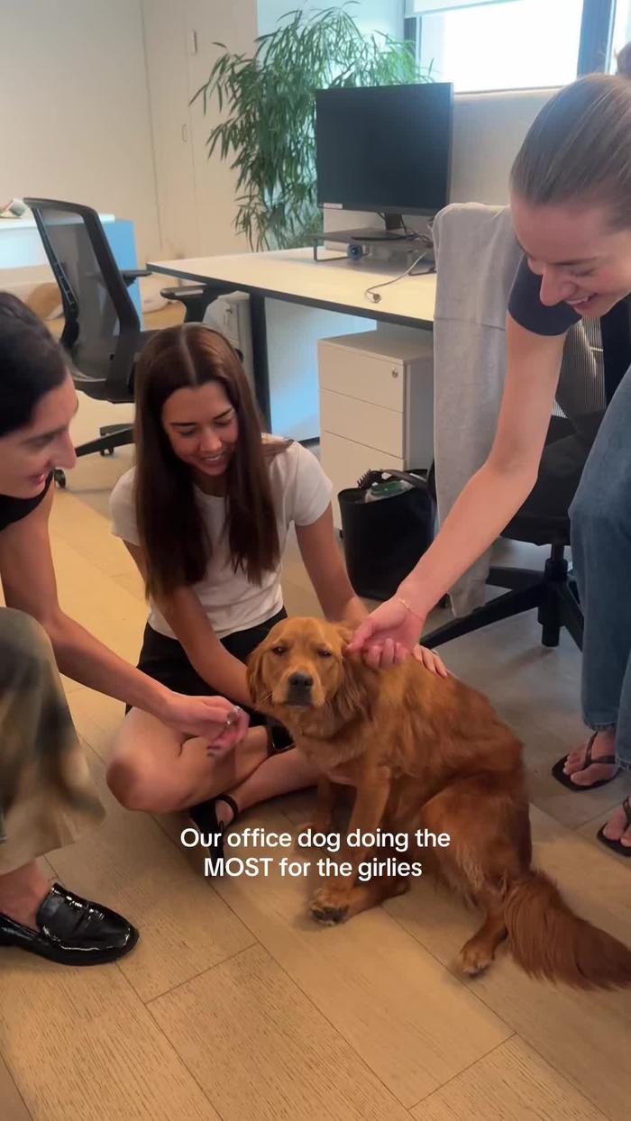 TikTok Post Thumbnail