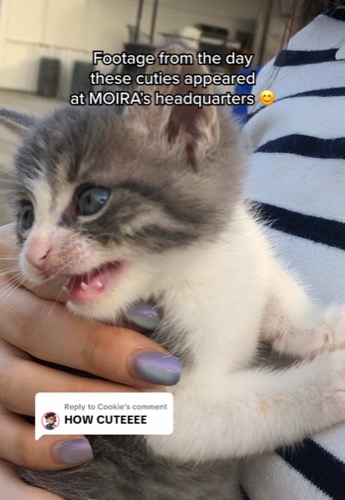 Post by moiracosmetics